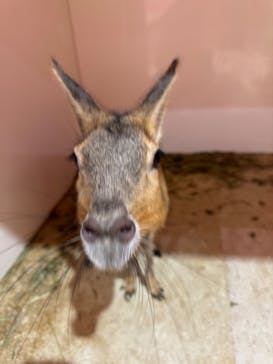 アニタッチアクアシティお台場に投稿された画像（2024/7/20）