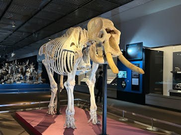 大哺乳類展に投稿された画像（2024/7/20）