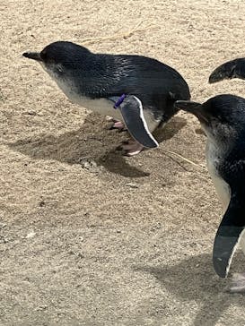 AOAO SAPPOROに投稿された画像（2024/7/20）