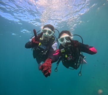 沖縄マリンサービス碧に投稿された画像（2024/7/20）