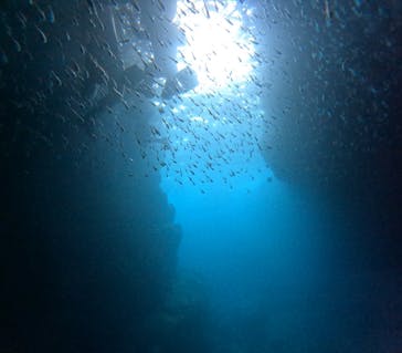 沖縄マリンサービス碧に投稿された画像（2024/7/20）