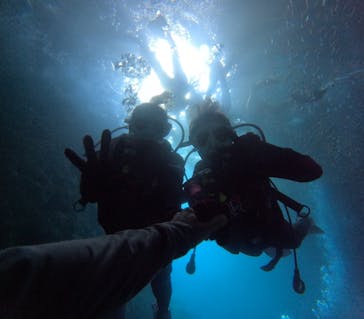 沖縄マリンサービス碧に投稿された画像（2024/7/20）