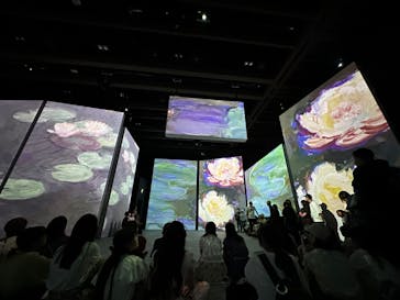 モネ＆フレンズ・アライブに投稿された画像（2024/7/20）