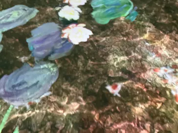 すみだ水族館に投稿された画像（2024/7/20）