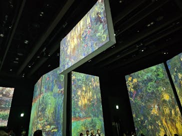 モネ＆フレンズ・アライブに投稿された画像（2024/7/20）