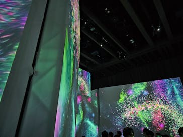 モネ＆フレンズ・アライブに投稿された画像（2024/7/20）