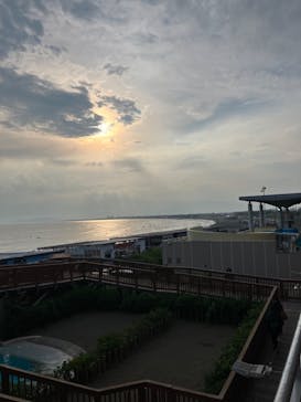 新江ノ島水族館に投稿された画像（2024/7/20）