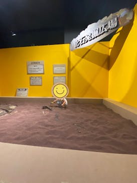 タッチ ザ ダイナソー ～恐竜アドベンチャー展～に投稿された画像（2024/7/20）