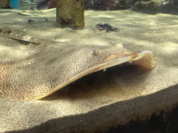 仙台うみの杜水族館に投稿された画像（2024/7/20）