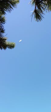 長崎フリーフライトパラグライダースクールに投稿された画像（2024/7/20）