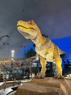 福井県立恐竜博物館に投稿された画像（2024/7/20）