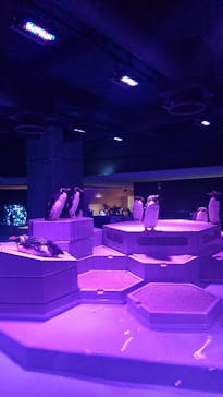 AOAO SAPPOROに投稿された画像（2024/7/20）