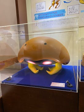 岐阜県博物館に投稿された画像（2024/7/20）