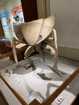 岐阜県博物館に投稿された画像（2024/7/20）