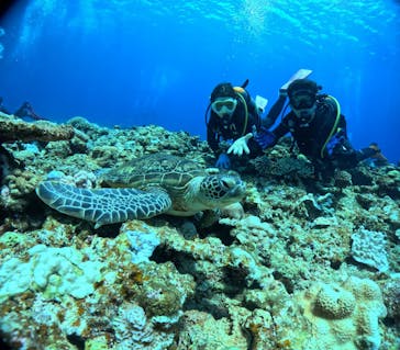 ISUNAに投稿された画像（2024/7/20）