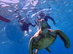 Chinajun Zamamiに投稿された画像（2024/7/20）