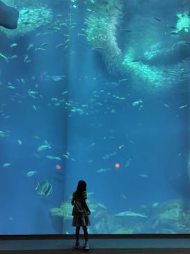 アクアワールド茨城県大洗水族館に投稿された画像（2024/7/20）