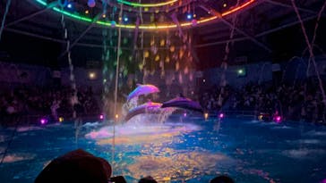 マクセル アクアパーク品川に投稿された画像（2024/7/20）