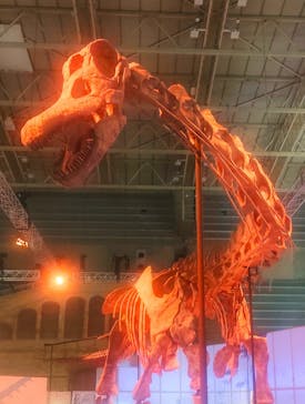 巨大恐竜展2024に投稿された画像（2024/7/20）