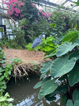 神戸どうぶつ王国に投稿された画像（2024/7/20）