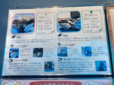 名古屋港水族館に投稿された画像（2024/7/20）