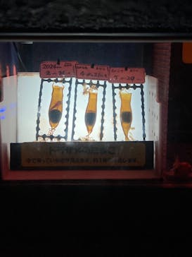 名古屋港水族館に投稿された画像（2024/7/20）