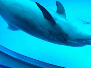 名古屋港水族館に投稿された画像（2024/7/20）