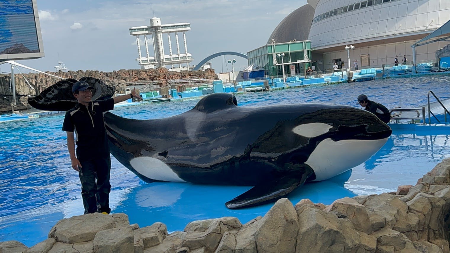 名古屋港水族館の口コミ ｜シャチのアースくんとリンちゃん｜アソビュー！