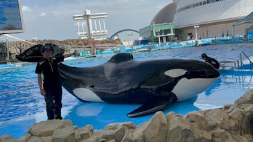 名古屋港水族館に投稿された画像（2024/7/20）