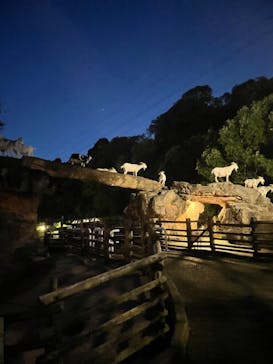 到津の森公園に投稿された画像（2024/7/20）