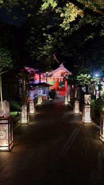 江の島シーキャンドルに投稿された画像（2024/7/20）