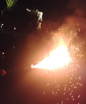 京成バラ園に投稿された画像（2024/7/20）