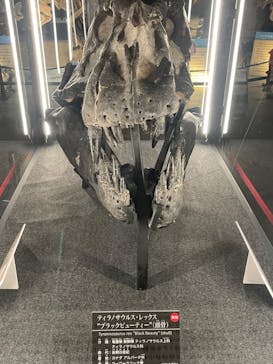 福井県立恐竜博物館に投稿された画像（2024/7/20）