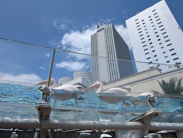 サンシャイン水族館に投稿された画像（2024/7/20）