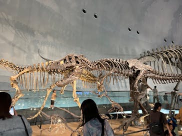 福井県立恐竜博物館に投稿された画像（2024/7/20）