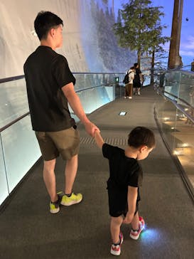 福井県立恐竜博物館に投稿された画像（2024/7/20）