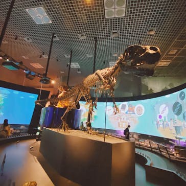 国立科学博物館に投稿された画像（2024/7/20）