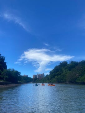 沖縄海うさぎ・海あしびに投稿された画像（2024/7/20）