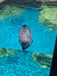 アクアワールド茨城県大洗水族館に投稿された画像（2024/7/21）