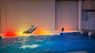 アクアワールド茨城県大洗水族館に投稿された画像（2024/7/20）