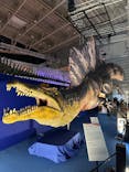 巨大恐竜展2024に投稿された画像（2024/7/21）