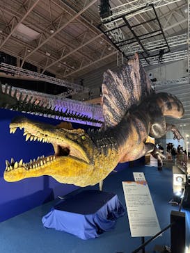 巨大恐竜展2024に投稿された画像（2024/7/20）