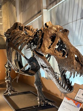 巨大恐竜展2024に投稿された画像（2024/7/20）