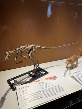巨大恐竜展2024に投稿された画像（2024/7/20）