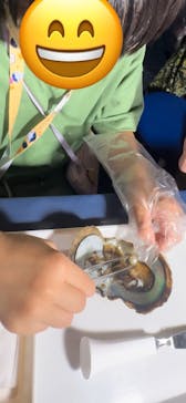 四国水族館に投稿された画像（2024/7/20）