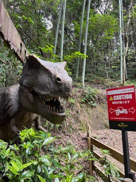 みろくの里に投稿された画像（2024/7/20）