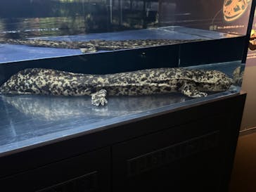 京都水族館に投稿された画像（2024/7/20）