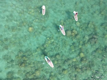 奄美シーランドに投稿された画像（2024/7/20）