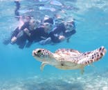 アマミエンシスに投稿された画像（2024/7/21）