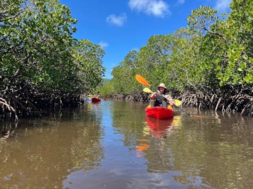西表島 ADVENTURE PiPi（アドベンチャーピピ）に投稿された画像（2024/7/21）